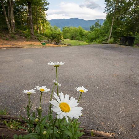 Real Log Cabin With Amazing Views, Hot Tub, Sauna, Games Gatlinburg Extérieur photo