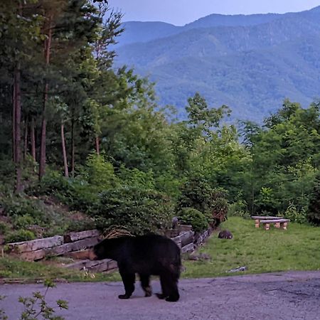 Real Log Cabin With Amazing Views, Hot Tub, Sauna, Games Gatlinburg Extérieur photo